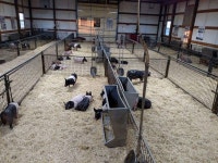 DIY에 관한 46개의 최상의 Pinterest 이미지 | 염소, Arquitetura 및 농장 DIY