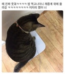 언제 이렇게 쪘냐