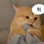 내만내짤