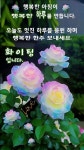 빠른 저장에 있는 SEOEUNSIL♡ 서님의 핀 | 시골 사진, 아침 이미지, 좋은 아침 인사