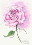 Pin on 보테니컬 아트