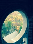 Holy Hill | 파빌리온
