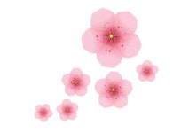 실버미술에 있는 진학 김님의 핀 | 꽃, 그림, 벚꽃