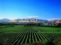 Vinos에 관한 73개의 최상의 Pinterest 이미지 | 와인 셀러, Wine 및 코르크 Vinos