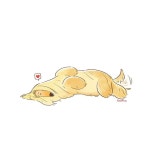 doggiecorgi(도기코기)에 있는 greengrin님의 핀 | 아프간