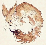 FOX에 있는 천호님의 핀 | 동물 그림, 동물 스케치, 늑대 그림