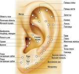 Pin by 여성전용 여성전용 on целительство | Ear health, Massage therapy, Natural healing