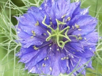 (no title) | 요리법