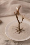 Hás Branch Candles _ 하스 브랜치캔들 – 하스테이블 온라인
