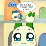 맑눈광 양파쿵야 병맛 웃긴 짤 27개