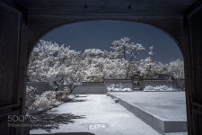 마당 yard by 6pence