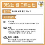 쌀맛나는세상동 | 윤기 좌르르 꿀맛나는 쌀 고르는 꿀팁 - 지식사이트 윤기 좌르르 꿀맛나는 쌀 고르는 꿀팁 - 지식사이트 | 쌀, 윤기, 요리