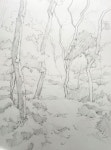 [기초 풍경수채화] 숲 길 - 수채화 과정 : 네이버 블로그 | 풍경 그림, 풍경 수채화, 수채화 나무