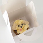 초코칩 쿠키로 당충 🍪 _ _ _ _ _ _ _ _ #당충 #쿠키 #스튜디오오다 #카페 #대전카페 #초코칩쿠키 #티타임 #간식 #군것질... 