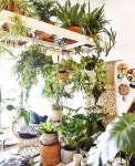 Pin by cocong cucu on 인테리어 | Hanging plants indoor, Plants, House plants