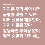 혈액 순환과 신장 해독을 돕는 자연 주스 | 주스, 스무디, 자연