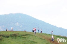 효리네민박 백약이오름 요즘 핫플 제주오름 명소 : 네이버 블로그 | Landscape photos, Dolores park