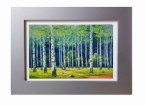 자작나무 (birch trees)풍경