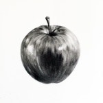 [천년의미소](@jmoobin)님: #drawing #design #tombow #illust #apple #드로잉 #소묘 #연필 #그리기illust #그림 #미술 #기초디자인... 