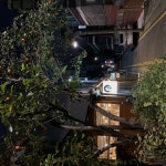 은은한 달빛 아래 - 상수동골목