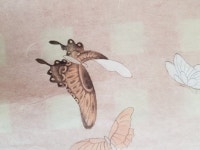 민화수업-싱가폴 특강민화 수업 : 네이버 블로그 | 한국화, 그림, 나비 그림