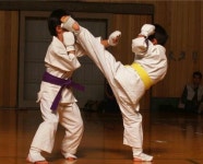 Karate - Mawashi-geri (nice). | 무술, 여성