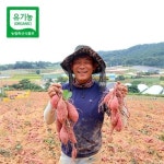 [해야농장] 무안 유기농 햇 고구마 5kg (으뜸이)