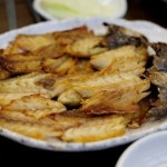 Instagram의 ♤점핑하이 풍암점 ♤점핑하이 점핑코리아 공식센터님: “#다미정#굴비정식#망고식스#아메리카노#녹차라떼#정 심#먹방#먹스타그램... 