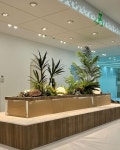 * Project : 캔탑스 * Client : 노을디자인 * Type : Artificial Plants * Location : 경기도 수원시 영통구 덕영대로 1556번길 16 I N T E R S C A P... 