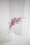 Pin page In Bloom에 있는 Katherine Baron님의 핀 | 꽃, 드라이 플라워, 배경