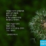 만남의 시기가 끝나는 것 만남의 시기가 끝나는 것 | 명언, 삶의 교훈 인용구, 사랑에 관한 명언