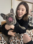 Pin by Honey on LOOΠΔ (이달의 소녀) | Kpop girl bands, Dog icon, I love girls