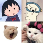 내 인스타 부계를 더 깜찍하게 꾸미는 방법‼️ 뭔가 모르게 댕청한 💙인스타 귀여운 비계 프사 모음💙 ✨다운로드는 요기서... 