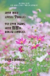 Pin page 안부와 인사 ㅡ Greeting cards #greetings #안부인사에 있는 핀 | 해바라기 밭, 삶의 교훈 인용구, 교훈