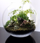 테라리움 by Raymond Heaney in 2020 | Bottle garden, Garden terrarium, Miniature garden