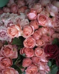 The Real Flower Company on Instagram: “In the pink” | 꽃