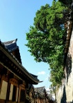 은형 최님의 my photos 이미지