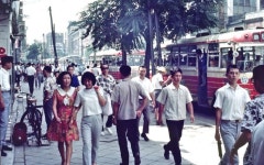 [서울] 1960년대 후반 ~ 70년대 초반 서울 (HQ 칼라) - 인스티즈(instiz) 이슈 카테고리 [서울] 1960년대 후반 ~ 70년대 초반... 