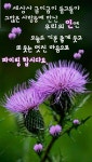 아침인사 Good quests of Korea language 🇰🇷에 있는 εїз미소εїз님의 핀 | 좋은 아침 인사, 멋진 문구, 아침 인사