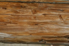 wood - Google 검색