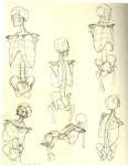 Pin by 두랄루민 on 01. 인물 기초 in 2023 | Human anatomy art, Sketch book, Skeleton drawings