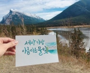 진아캘리그라피 calligraphy by jinah