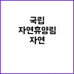국립자연휴양림 ‘무료’ 즐기기 비밀 공개! | 대전진 국립자연휴양림 ‘무료’ 즐기기 비밀 공개! | 대전진 | 연휴