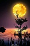 Natur에 관한 64개의 최상의 Pinterest 이미지 | 달빛, 아름다운 장소 및 La luna Natur