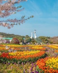 애견운동장이 있어서 뛰어 놀 수 있어요. 📍경기 평택시 청오로 33-34 13-16#아침고요수목원 @morningcalm_garden 🌳 서울 근교로 가기 좋은 ...
