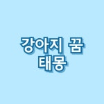 강아지 꿈 태몽 검은개 태몽 갈색강아지꿈 54가지 총정리
