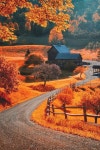 Fall에 관한 231개의 최상의 Pinterest 이미지 | 자연, Paisajes 및 숲 Fall