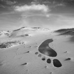 승희 이님의 발