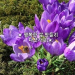 ★ 행복한 삶 만들기 다섯가지 ★ 행복은 외부적인 조건이 아니라... ★ #좋은글 좋은글귀 어플 구글 플레이 스토어에서 다운로드 받으세요