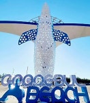 경북 영덕 고래불해수욕장, 사계절 즐기는 풍경과 추억의 여행지 소개 및 추천 경북 영덕 고래불해수욕장, 사계절 즐기는 풍경과 추억의 여행지... 